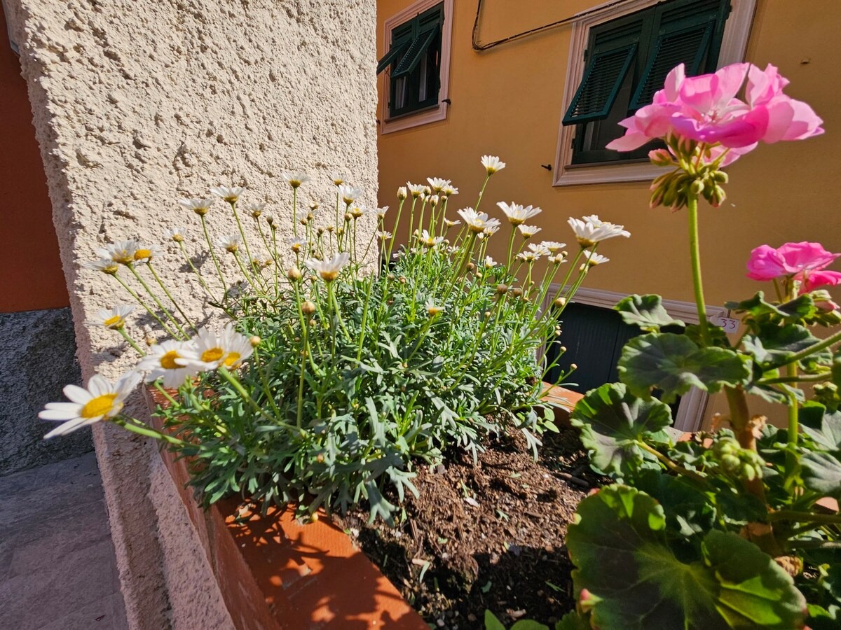 Margherite e gerani in fiore davanti alla casa
