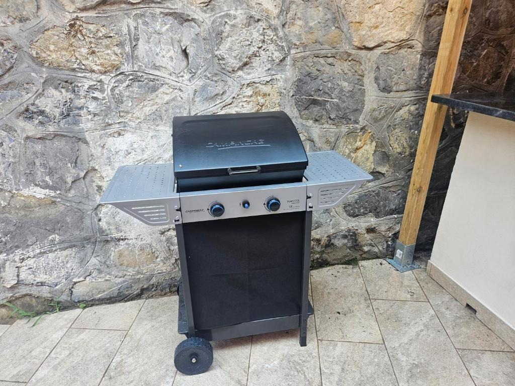 Barbecue a gas nel cortile