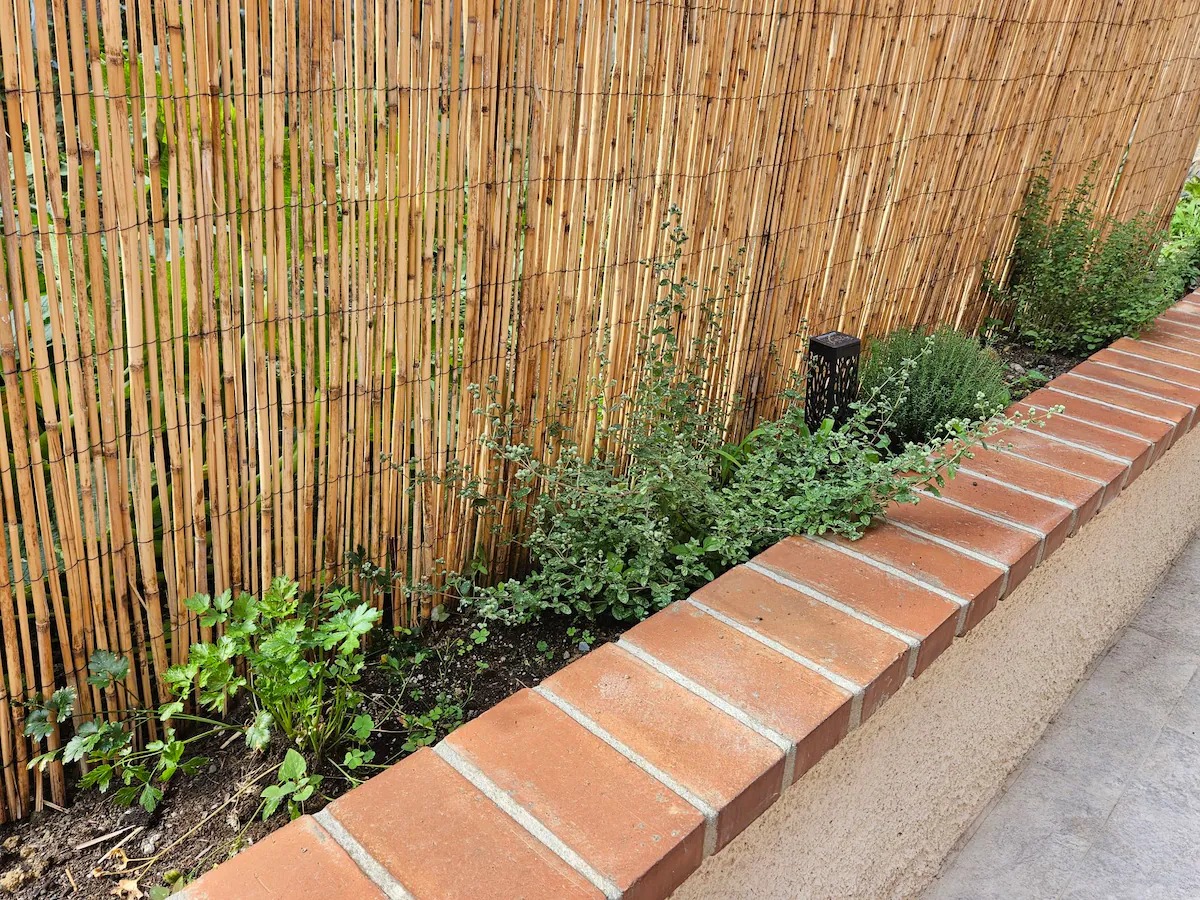 Aiuola con erbe aromatiche lungo il muro del giardino