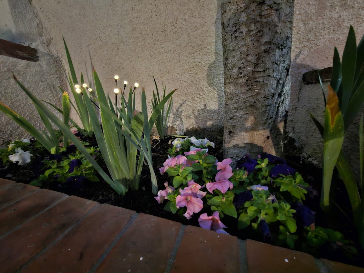 Aiuola fiorita con iris e petunie nel giardino