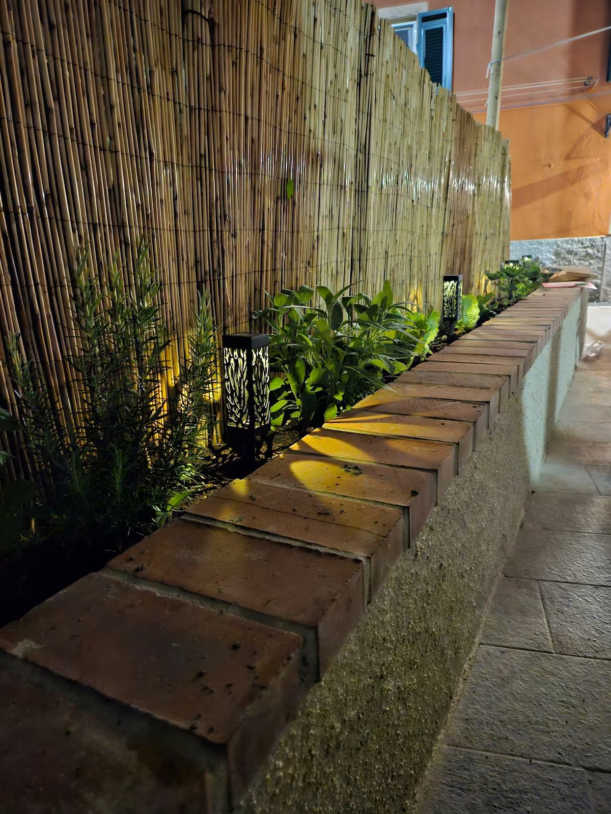 Aiuola con erbe aromatiche illuminata la sera