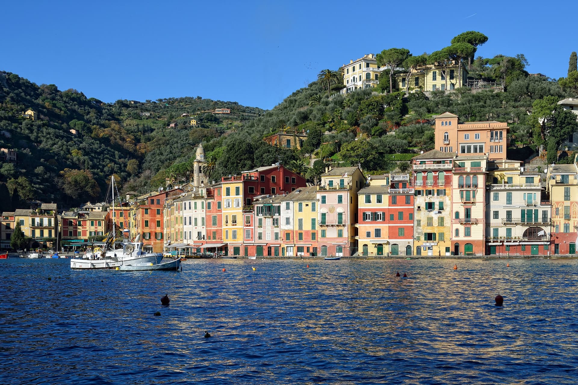 Porticciolo di Portofino con case colorate e barche